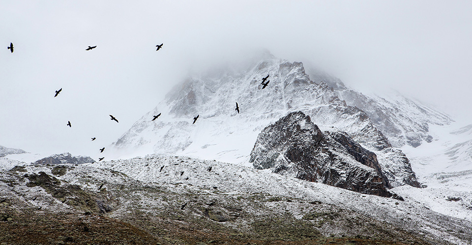 It is not the mountain we conquer but ourselves